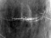 Click For Enlargement