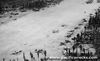 Click For Enlargement