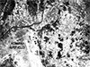 Click For Enlargement