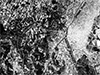 Click For Enlargement