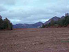 Click For Enlargement