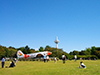 Click For Enlargement