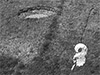 Click For Enlargement