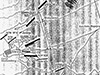 Click For Enlargement