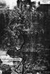 Click For Enlargement