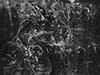 Click For Enlargement