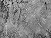 Click For Enlargement
