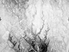 Click For Enlargement