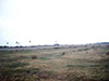 Click For Enlargement