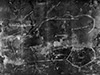Click For Enlargement
