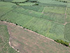 Click For Enlargement