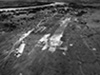 Click For Enlargement
