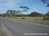 Click For Enlargement