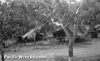 Click For Enlargement