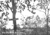 Click For Enlargement