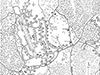 Click For Enlargement