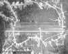 Click For Enlargement