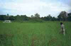 Click For Enlargement