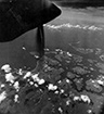 Click For Enlargement
