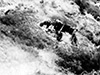Click For Enlargement