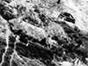 Click For Enlargement