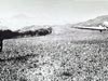 Click For Enlargement