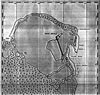 Click For Enlargement