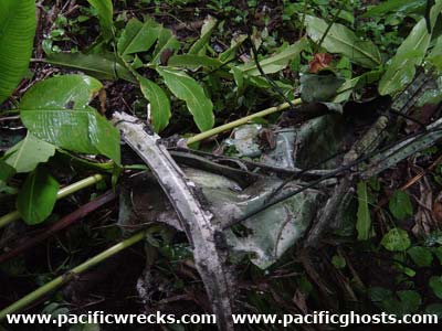 PacificWrecks.com