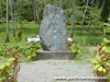 Click For Enlargement