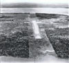 Click For Enlargement