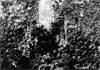 Click For Enlargement