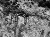 Click For Enlargement
