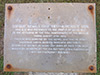 Click For Enlargement