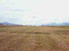 Click For Enlargement