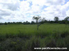 Click For Enlargement