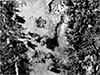 Click For Enlargement