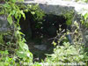 Click For Enlargement