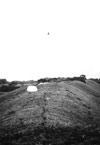Click For Enlargement