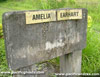 Click For Enlargement