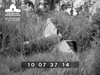 Click For Enlargement