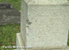 Click For Enlargement