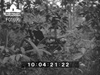 Click For Enlargement