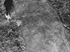 Click For Enlargement