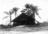 Click For Enlargement