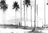 Click For Enlargement