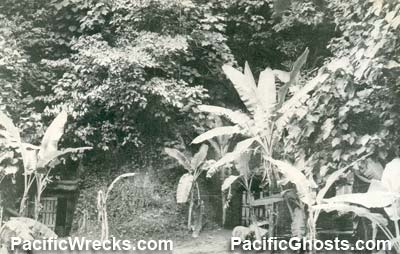 PacificWrecks.com