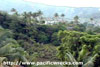 Click For Enlargement