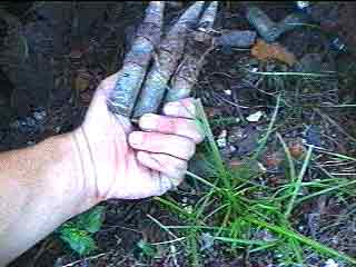 Bomb Damage & Munitions