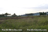 Click For Enlargement