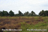 Click For Enlargement